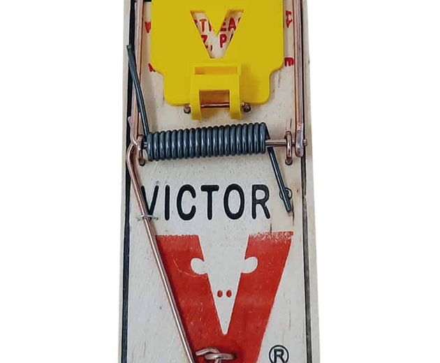 VICTOR Mouse Trap